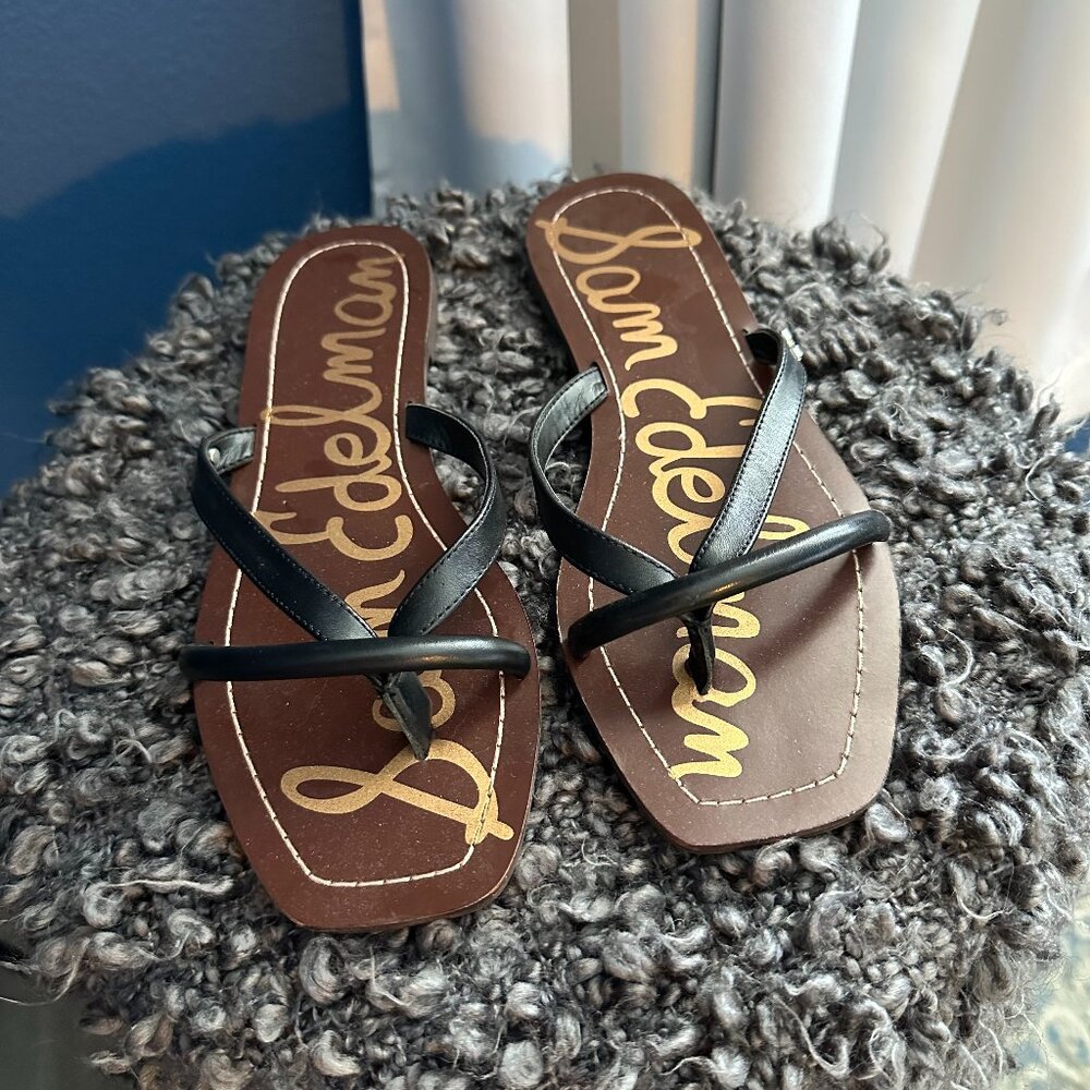 Sam Edelman Black and Brown Sandals